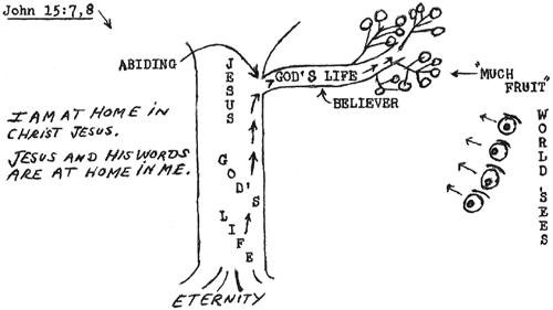 Image177.gif (27714 bytes)