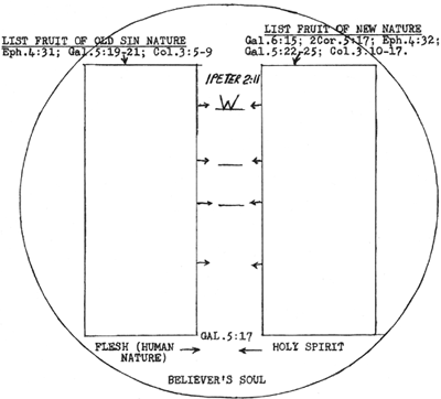 Image181.gif (26617 bytes)
