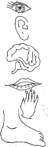 elhe.gif (11527 bytes)