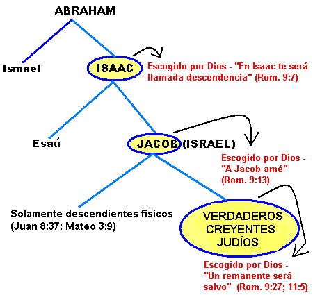 romanos middletownbiblechurch trata abraham romans