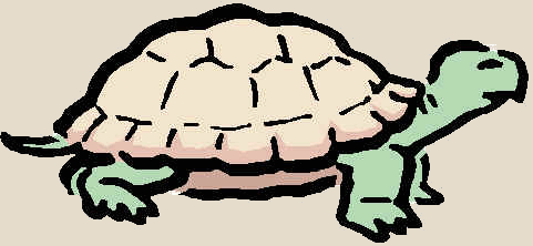 turtle4.gif (32312 bytes)